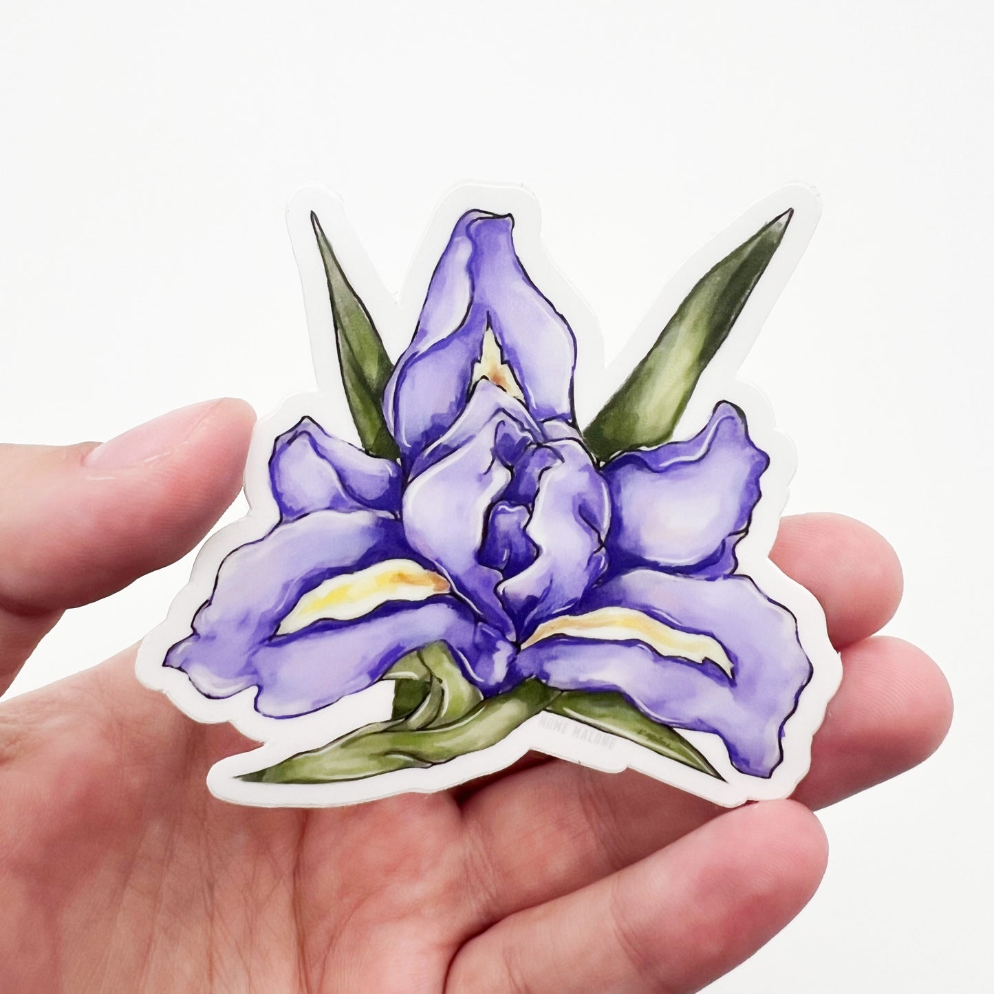 Purple Iris Sticker