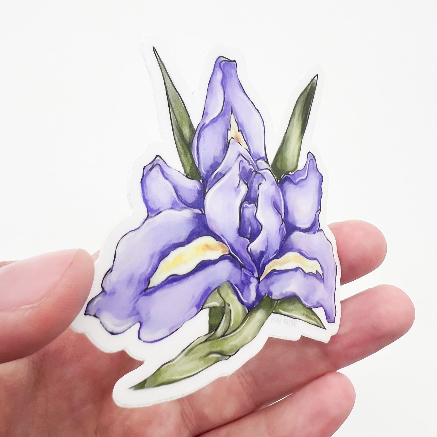 Purple Iris Sticker