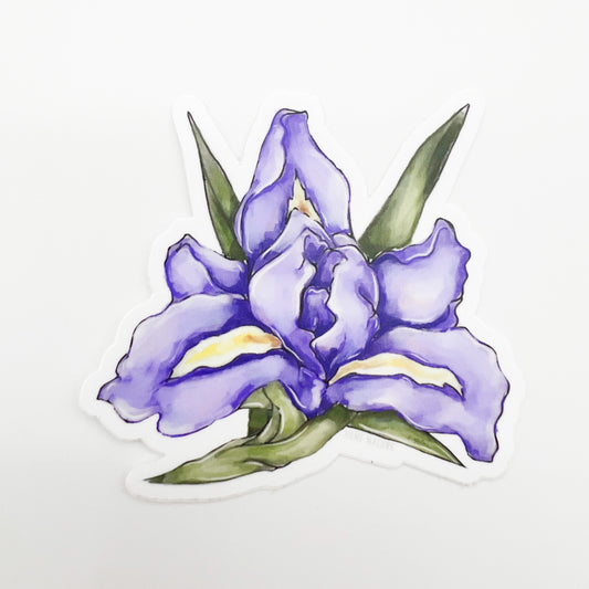 Purple Iris Sticker