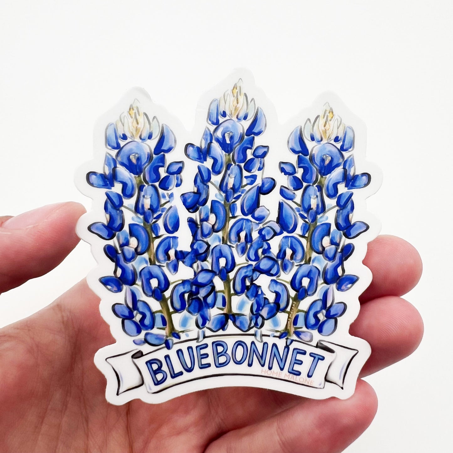 Bluebonnet Sticker