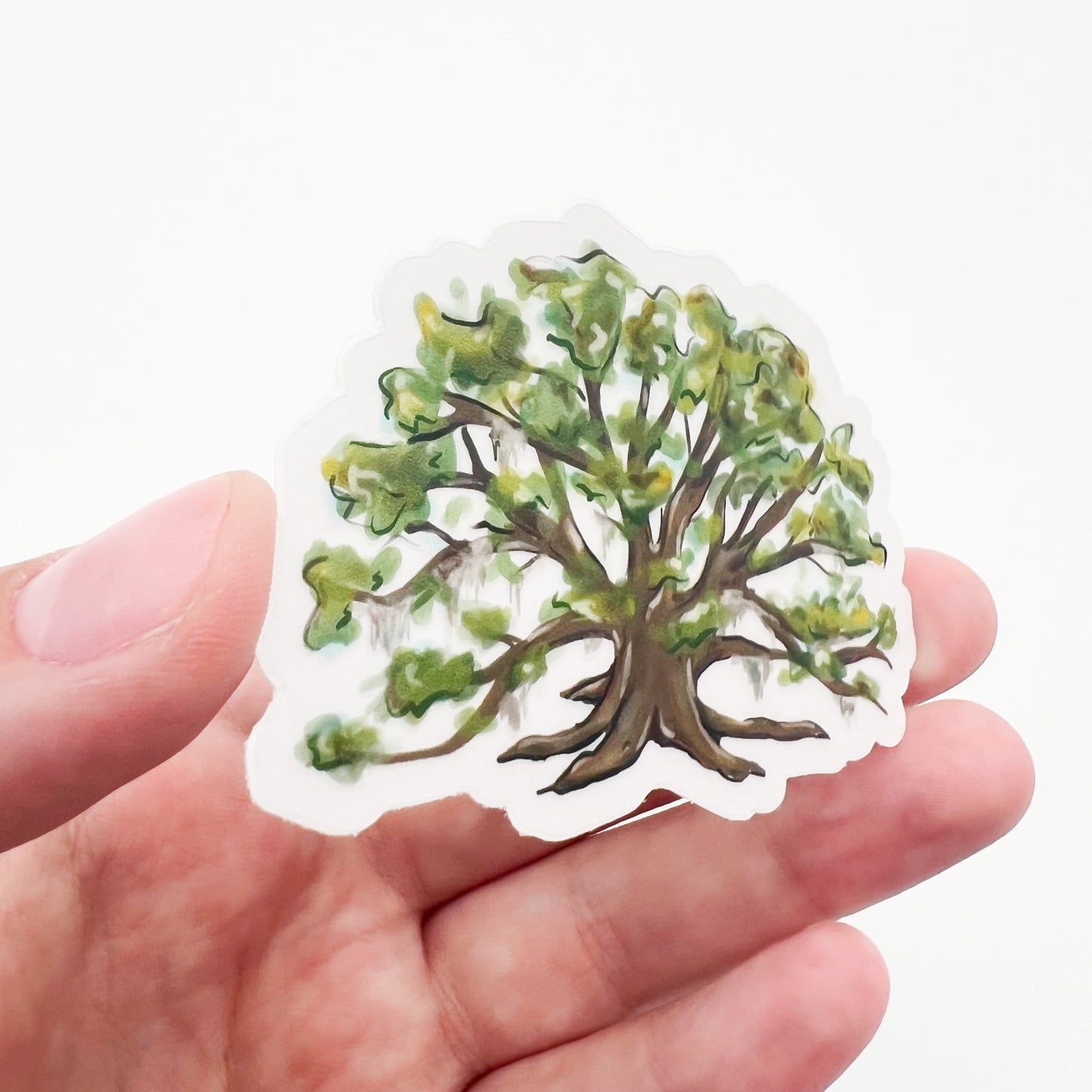 Oak Tree Sticker